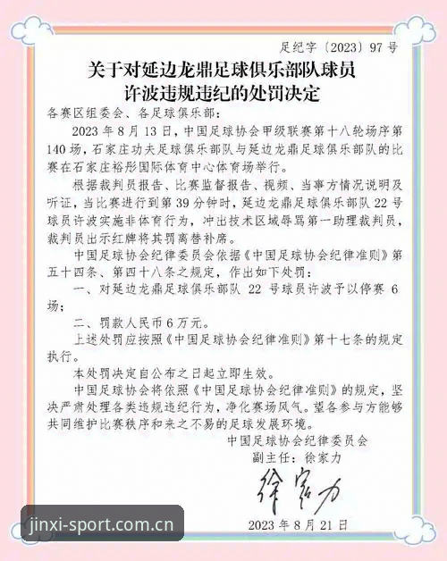 透视足协第三批禁足名单的实用指南——从处罚案例看中国足球的规矩与底线